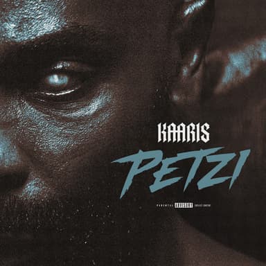 PETZI Cover